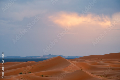 Dunes in the Sahara desert, Merzouga desert, grains of sand forming small waves on the dunes, panoramic view. Setting sun. Morocco.