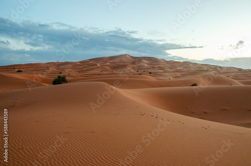 Dunes in the Sahara desert, Merzouga desert, grains of sand forming small waves on the dunes, panoramic view. Setting sun. Morocco.