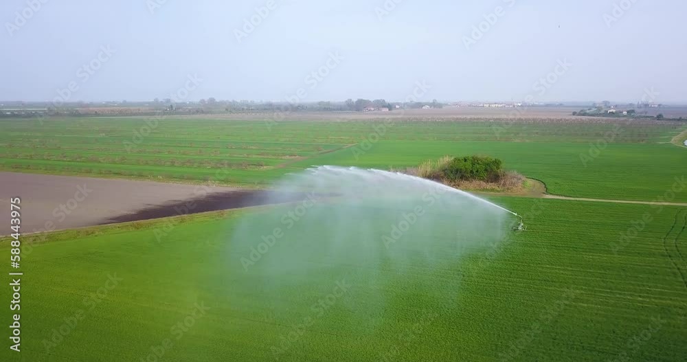 A jet of water is sprayed on the green field A jet of water is sprayed on the green field