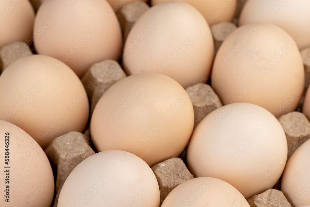 Tray with a large number of white chicken eggs Tray with a large number of white chicken eggs