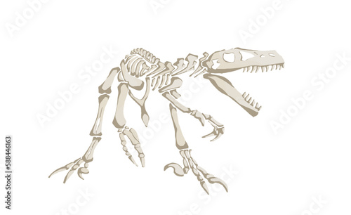 Graphical color skeleton of raptor isolated on white, vector illustration, paleonthology