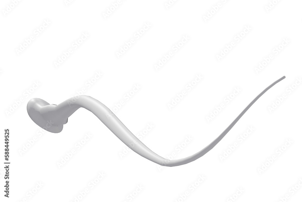 Sperm over white background