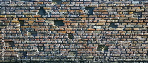 the background is an old sunny brick wall