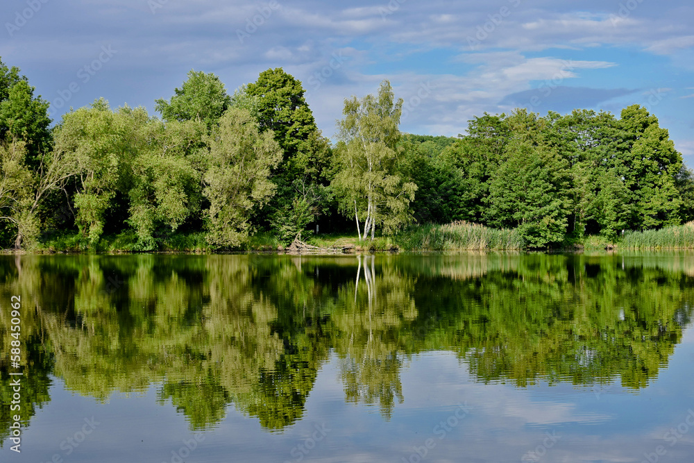 green forest, summer, spring, sunny day. Forest by the lake reflecting in the blue water. Beautiful clouds in the sky green forest, summer, spring, sunny day. Forest by the lake reflecting in the blue water. Beautiful clouds in the sky