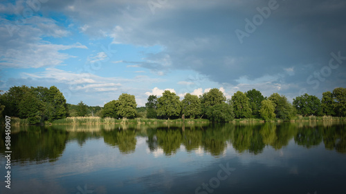 green forest, summer, spring, sunny day. Forest by the lake reflecting in the blue water. Beautiful clouds in the sky