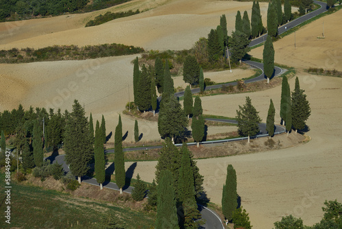 Winding road between cypress trees in a landscape in Tuscany in Italy
