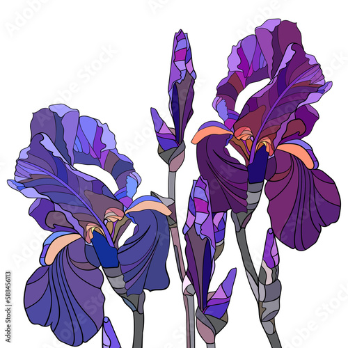 Bouquet of purple iris flowers with buds in the style of applique or stained glass, decor element, design, postcard, poster, wallpaper, postcard, textile, fabric, wrapper, packaging