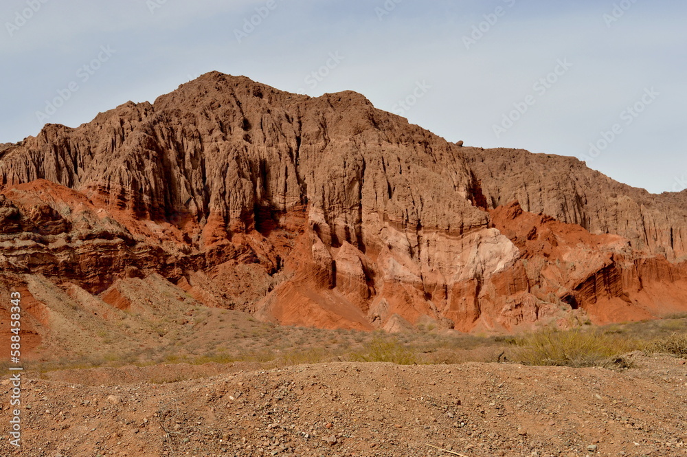 Fototapeta premium Naturaleza Salteña