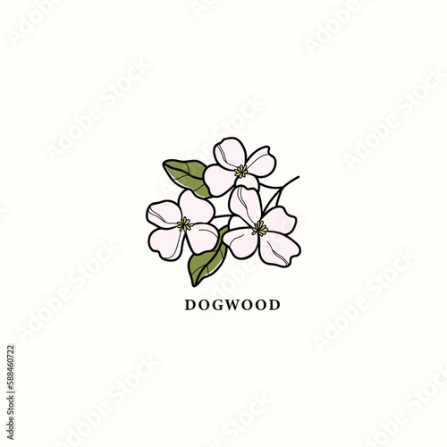 Line art dogwood branch drawing
 photo