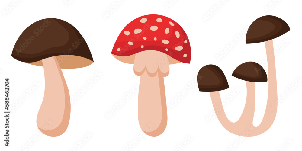 Collection of various mushrooms on a white background.
Set of vector illustrations of poisonous and edible mushrooms. Types of forest mushrooms. Collection of various mushrooms on a white background.
Set of vector illustrations of poisonous and edible mushrooms. Types of forest mushrooms.