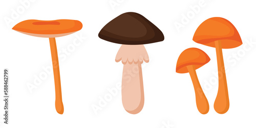 Collection of various mushrooms on a white background. Set of vector illustrations of poisonous and edible mushrooms. Types of forest mushrooms.