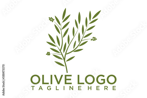 Fototapeta Naklejka Na Ścianę i Meble -  Olive oil logo with modern emblem line art style with combined leaf, water, olive branch and leaf drupe Premium Vector