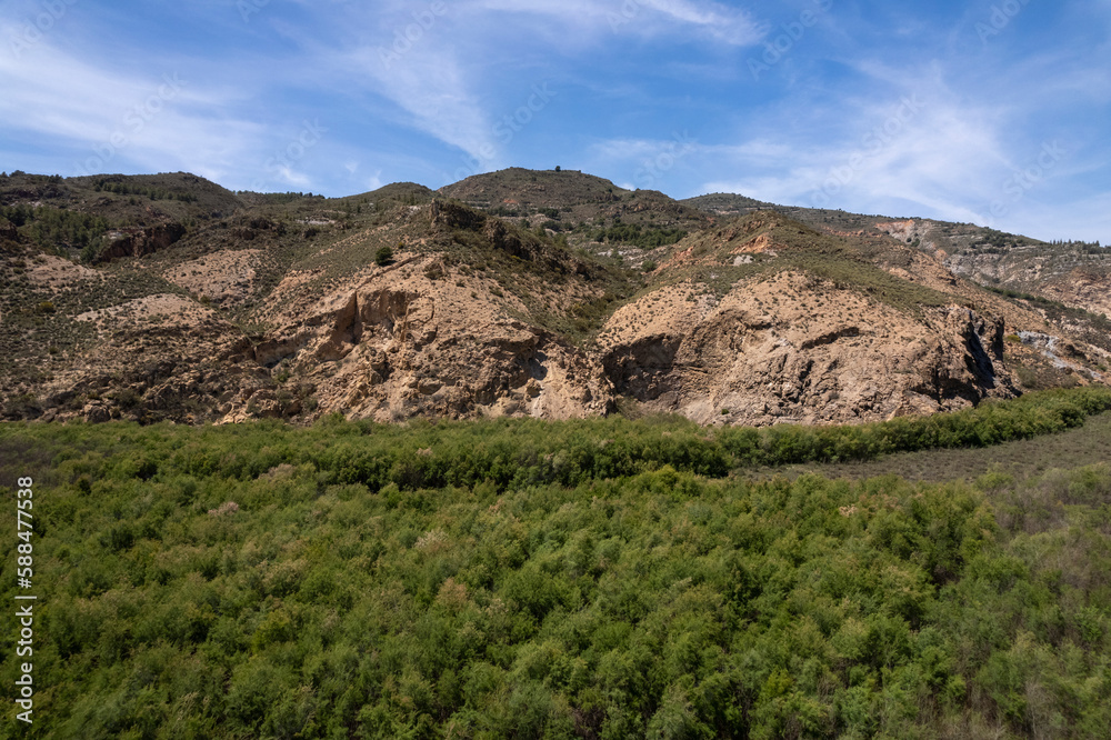 forest of trees at the foot of the mountain forest of trees at the foot of the mountain