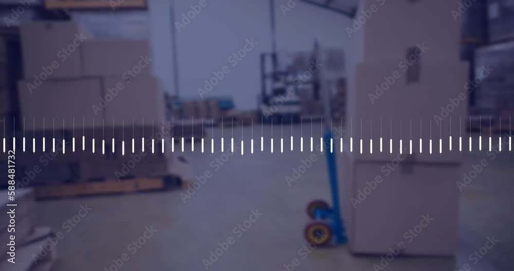 Animation of financial data processing with statistics over warehouse