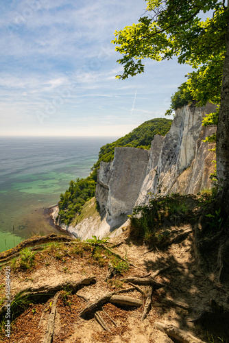 Scogliera di Møns Klint, Danimarca