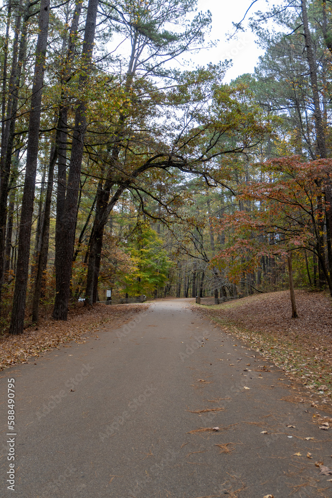 Autumn Leaves at Jeff Busby Site and Little Mountain trail and summit Road. Natchez Trace site named after U.S. Congressman Thomas Jefferson Busby who authorized a survey of Old Natchez Trace. Autumn Leaves at Jeff Busby Site and Little Mountain trail and summit Road. Natchez Trace site named after U.S. Congressman Thomas Jefferson Busby who authorized a survey of Old Natchez Trace.