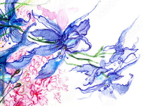 Wild blue fowers closeup, watercolor on white background.