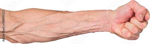 Принти на полотні A man's hand with large veins on a white background