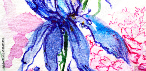 Wild blue fowers closeup, watercolor on white background.