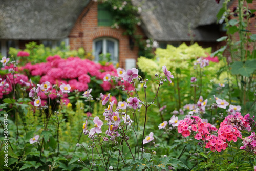 Reetgedecktes altes Bauerhaus Kate mit Wildblumen Garten in St. Peter Ording Schleswig Holstein