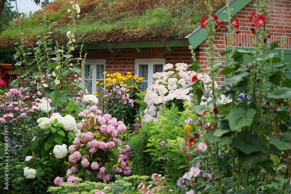 Altes Bauerhaus Kate mit Wildblumen Garten in St. Peter Ording Schleswig Holstein