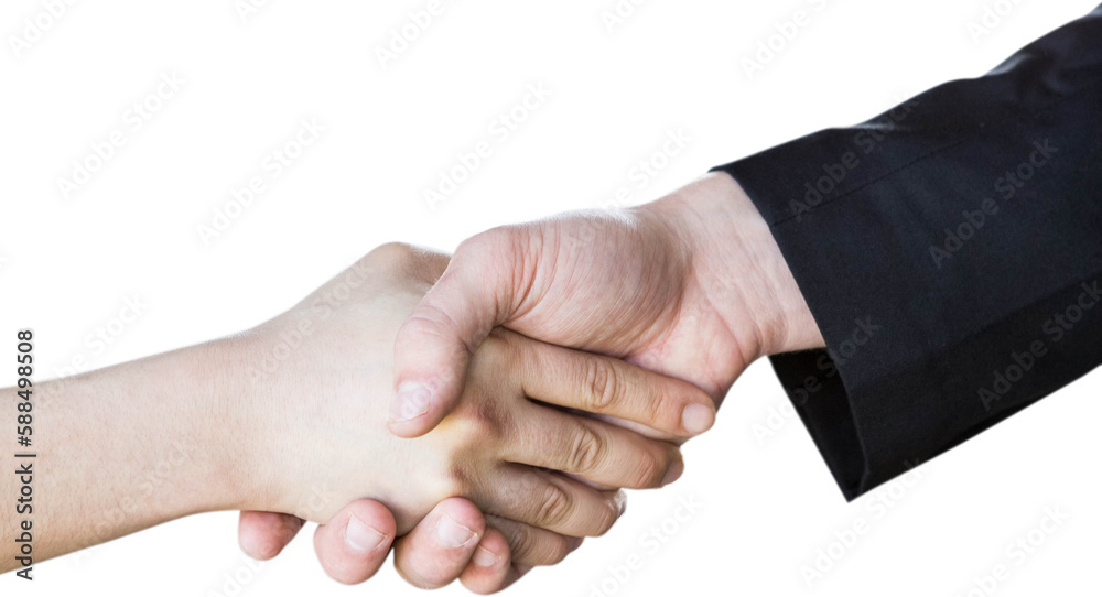 Obraz premium People doing handshake