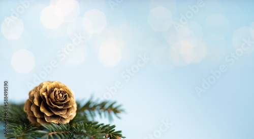 Christmas three branch on a blue background with light. Golden cone with fir branch.
