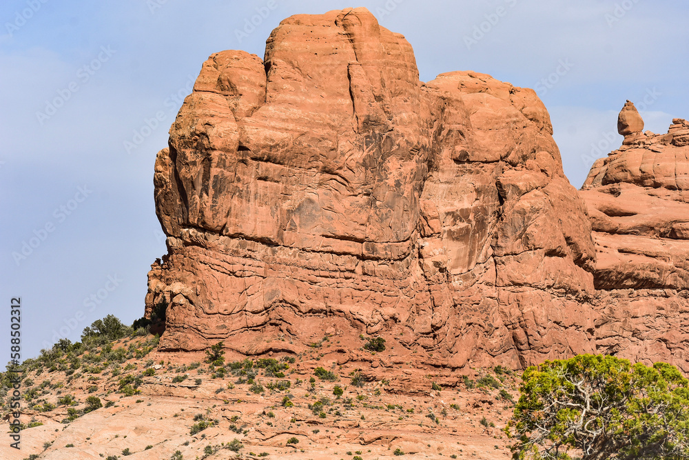 Fototapeta premium park