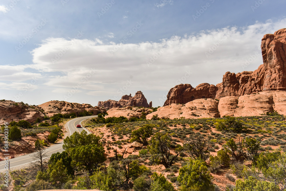 Fototapeta premium park