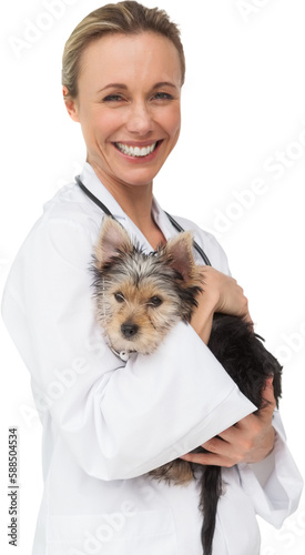 Vet holding yorkshire terrier puppy