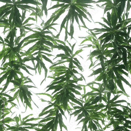 Plants In White Background  Generative AI 