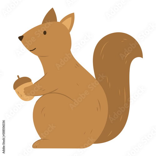 squirrel with a nut