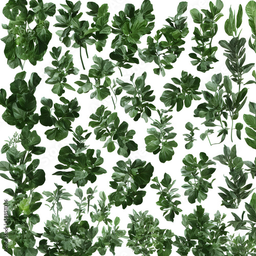 Plants In White Background "Generrative AI"