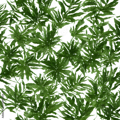 Plants In White Background  Generrative AI 