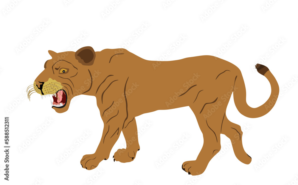 Lioness vector illustration isolated on white background. Lion female. Animal king. Big cat. Pride of Africa. Leo zodiac symbol. Wildlife predator. African big five. Mountain lion cougar.