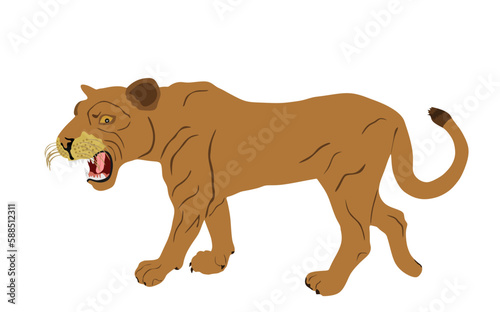 Lioness vector illustration isolated on white background. Lion female. Animal king. Big cat. Pride of Africa. Leo zodiac symbol. Wildlife predator. African big five. Mountain lion cougar.