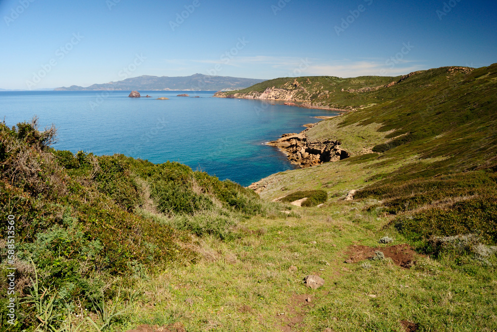 Fototapeta premium La costa tra Torre Ischia Ruja e Torre Foghe