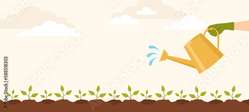 A hand in a rubber glove watering the beds with plant sprouts from a watering can. Flat vector illustration