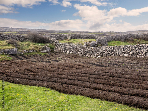 Tablou pe pânză Patch of freshly ploughed land next to green grass field