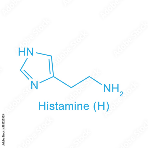 Illustrative image of histamine photo