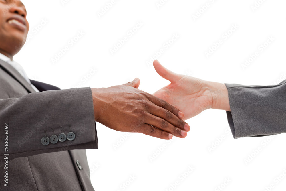 Obraz premium Businessman going shaking a hand