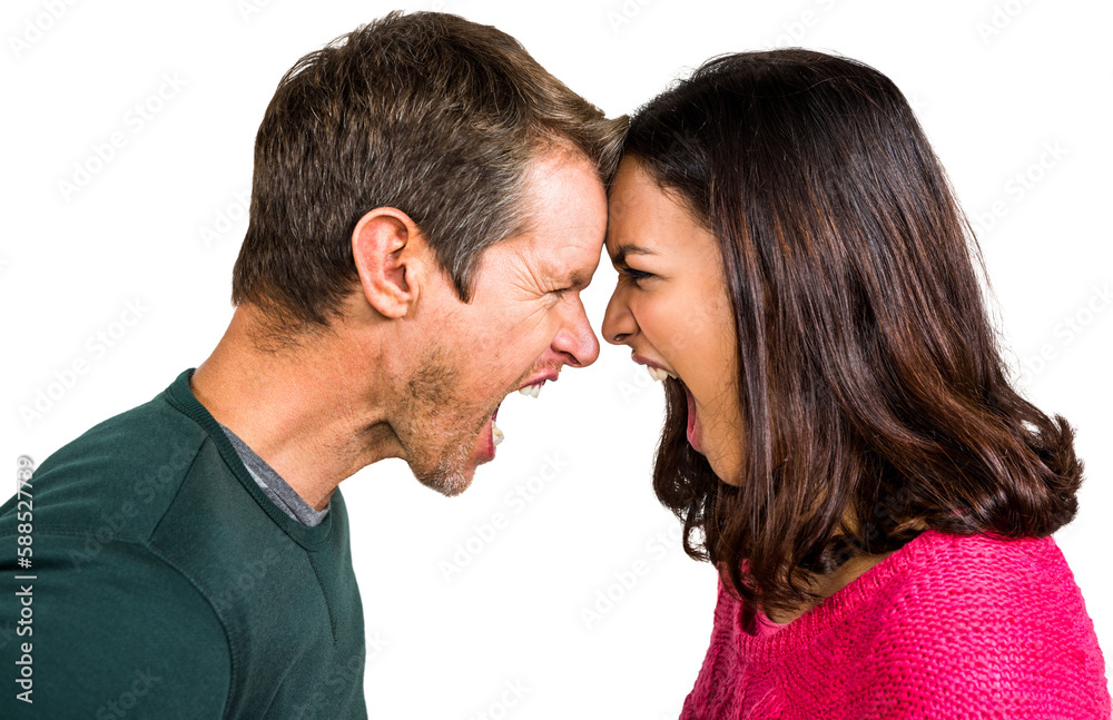 Couple yelling while standing head to head Couple yelling while standing head to head
