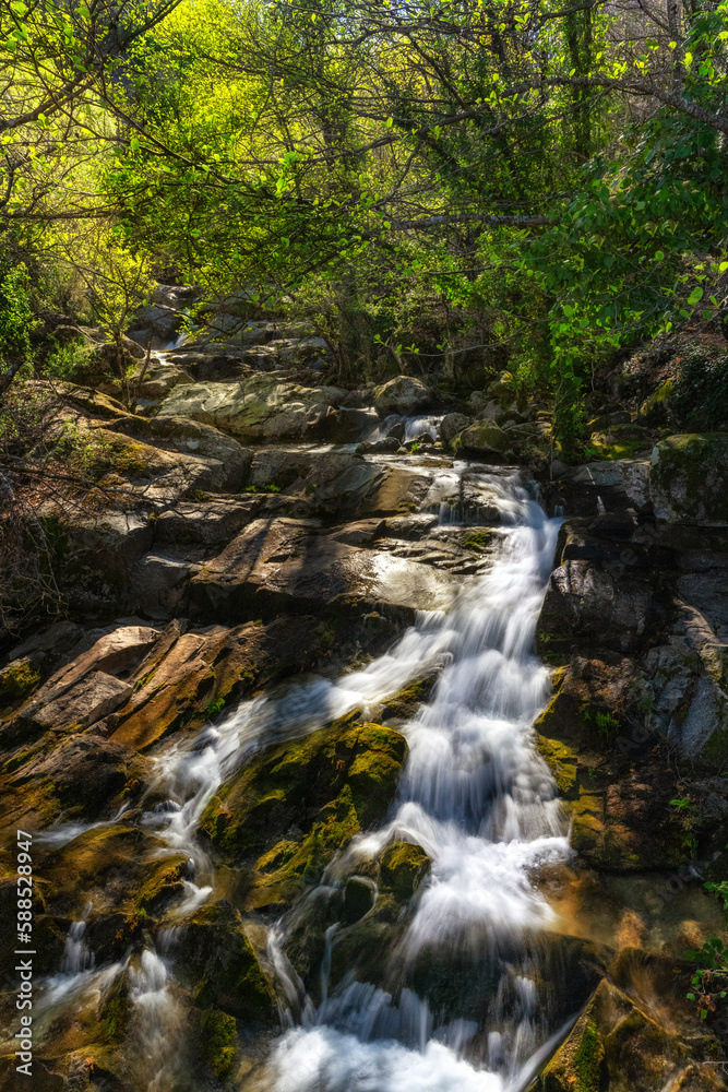 Stream in the forest - Extremadura, Spain