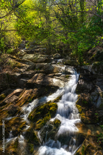 Fototapeta Naklejka Na Ścianę i Meble -  Stream in the forest - Extremadura, Spain