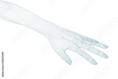 3d image of human hand