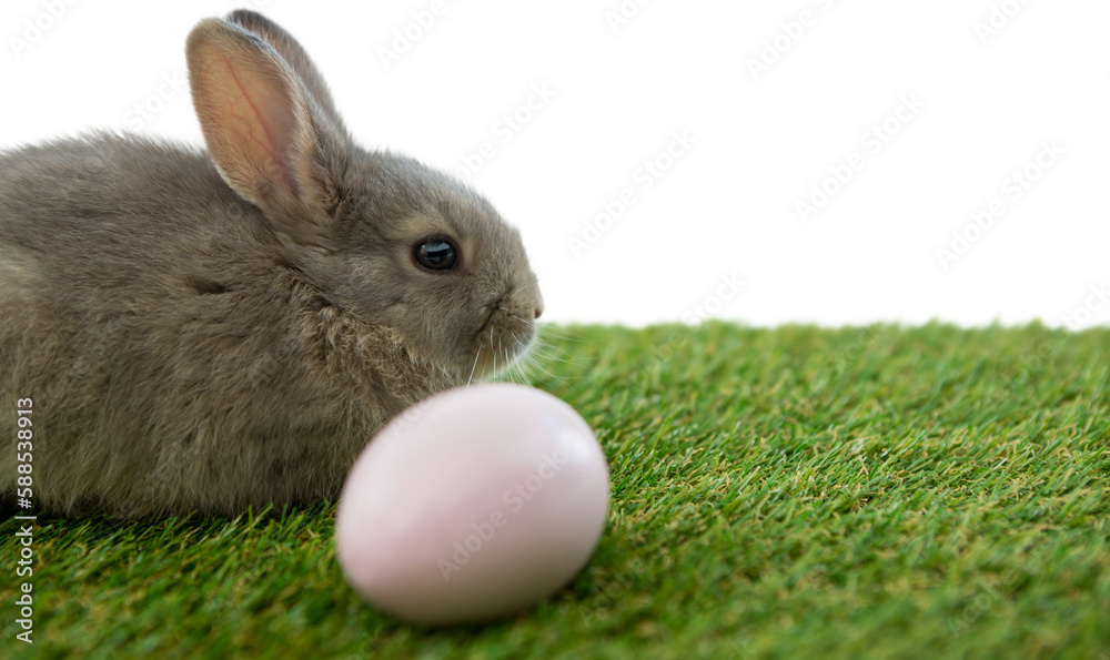 Naklejka premium Bunny with Easter egg on grass