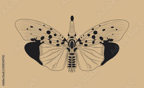 Line butterfly concept. Spilarctia seriatopunctatum, insect with wings. Mysticism and occultism, esotericism. Symbol of spring and summer time of year. Cartoon flat vector illustration