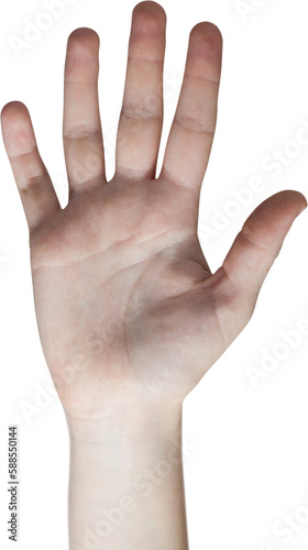 Cropped hand of woman