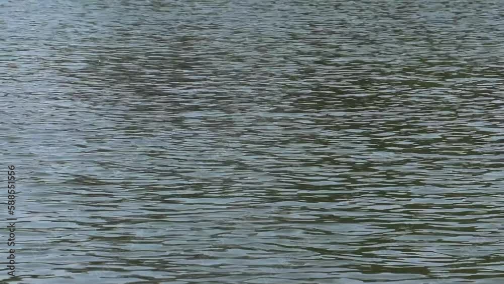 Light Reflecting on Chapultepec Pond Water During the Day Light Reflecting on Chapultepec Pond Water During the Day