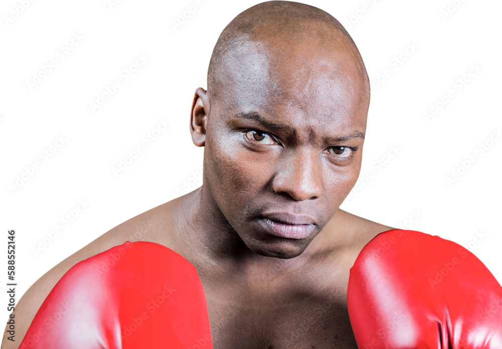 Portrait of bald boxer in gloves Portrait of bald boxer in gloves